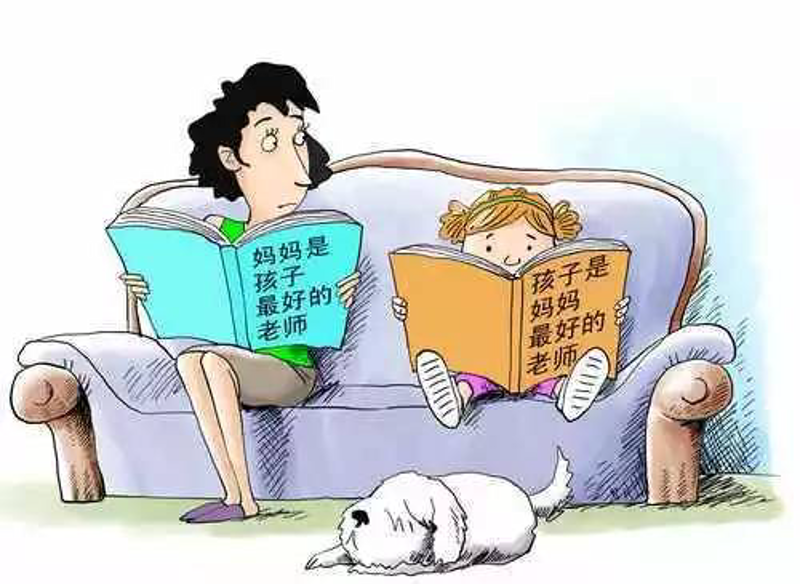 志愿填报指南：让梦想与现实无缝对接